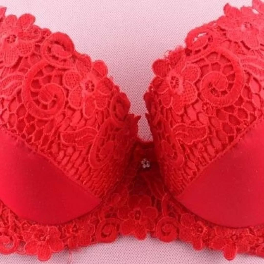 Padded embroidered underwired bra