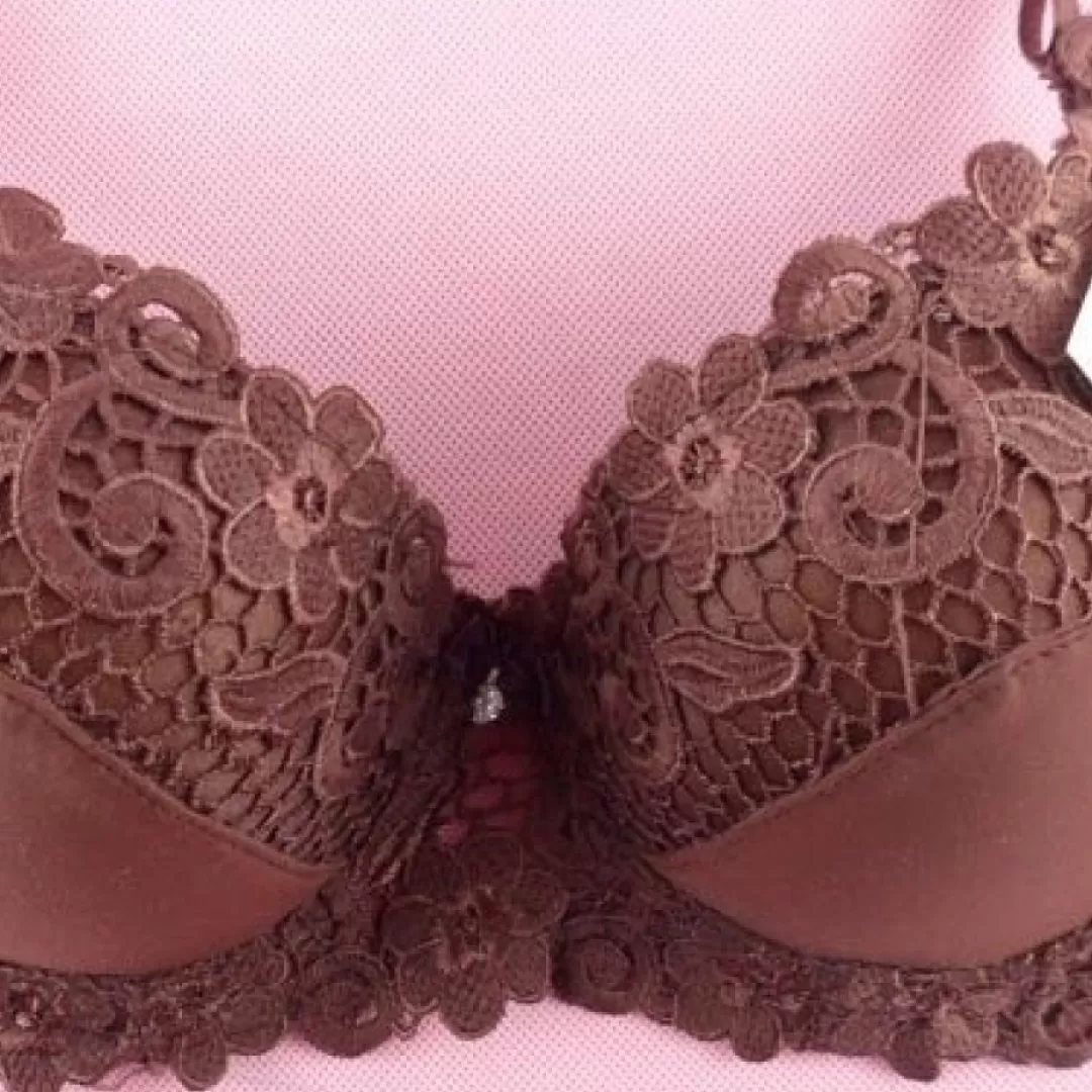 Padded embroidered underwired bra