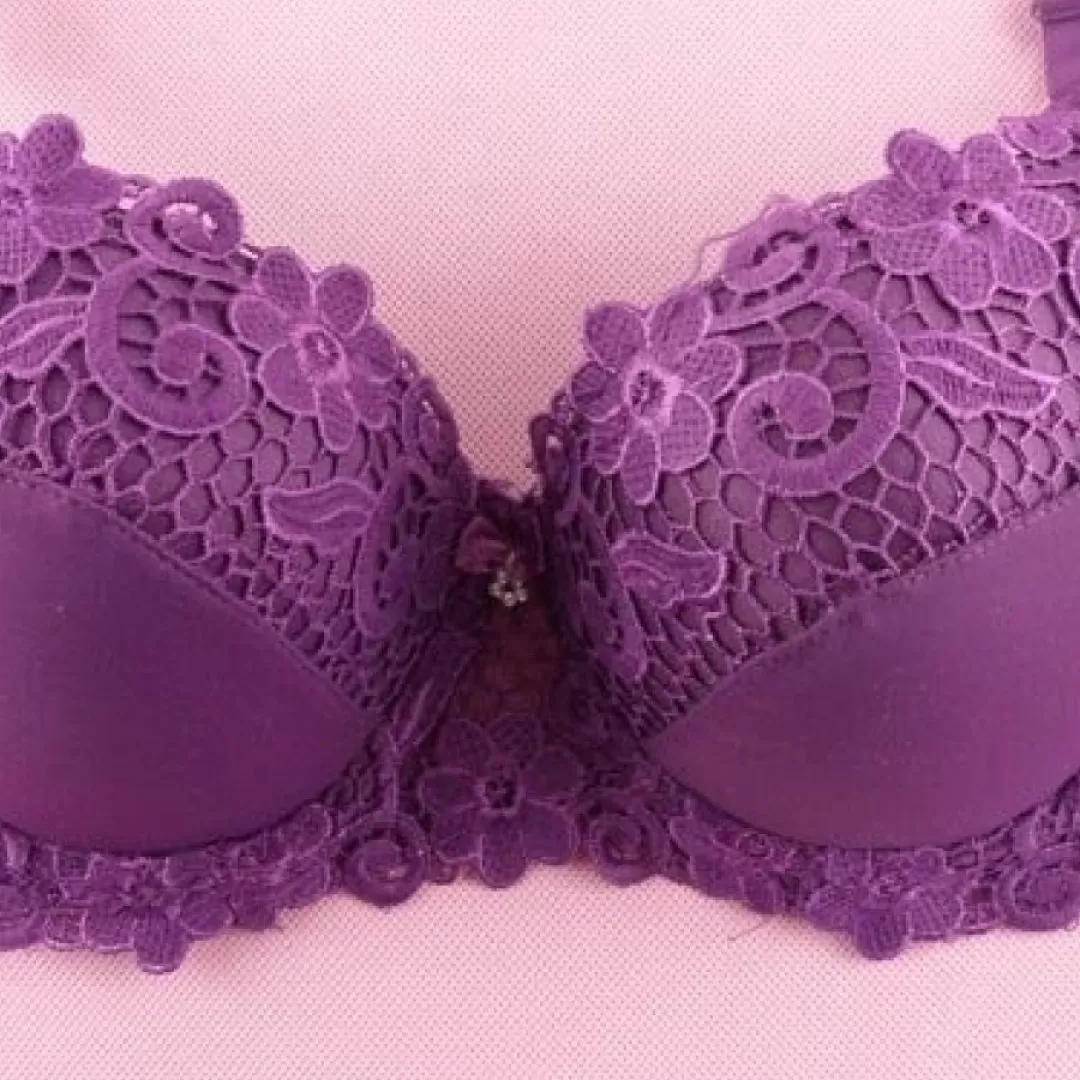 Padded embroidered underwired bra